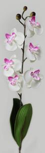 Fehér mű orchidea, levelekkel 45cm