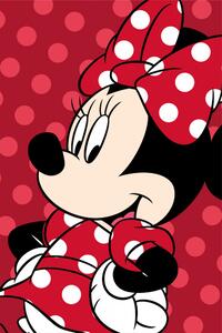 Disney Minnie Red mikroflanel takaró 100x150cm