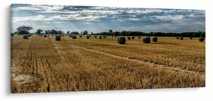 Betakarított gabona mező képe (120x50 cm)