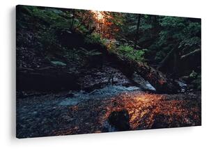 Hegyi folyó képe (90x60 cm)