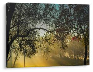 Napkelte képe (70x50 cm)