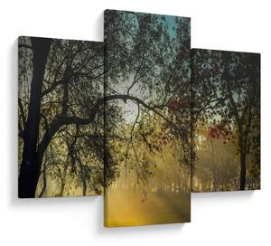 Napkelte képe (90x60 cm)