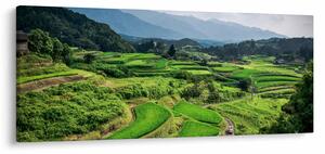 Rizsmező képe (120x50 cm)