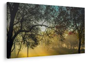 Napkelte képe (90x60 cm)