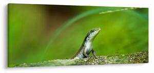 Gyíkok képe (120x50 cm)