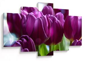 Tulipán képe (150x105 cm)