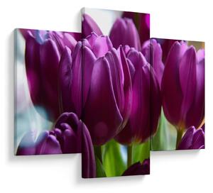 Tulipán képe (90x60 cm)