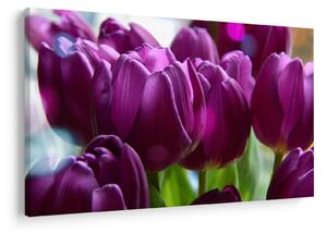 Tulipán képe (90x60 cm)