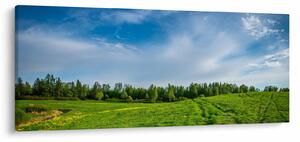 Rét képe (120x50 cm)