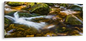 Patak képe (120x50 cm)