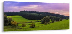Rét képe (120x50 cm)
