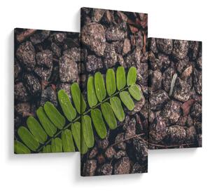 Zöld növények képe (90x60 cm)