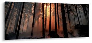 Sötét erdő képe (120x50 cm)