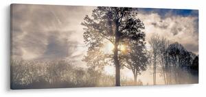 Fa a ködben képe (120x50 cm)