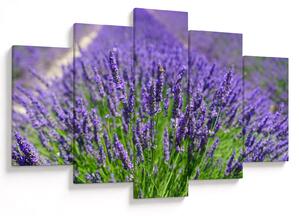 Kép - levandula (150x105 cm)