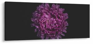 Lila virág képe (120x50 cm)
