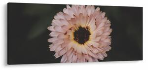 Narancsságra virág képe (120x50 cm)