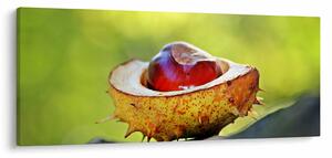 Gesztenye képe (120x50 cm)