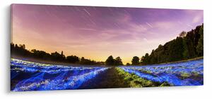 Színes mező képe (120x50 cm)
