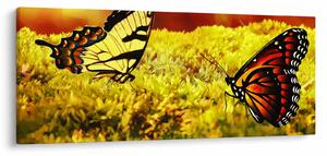 Pillangó képe (120x50 cm)