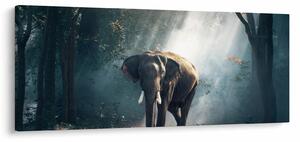 Elefánt a dzsungelben képe (120x50 cm)