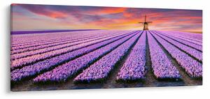 Kép - virágfarm (120x50 cm)