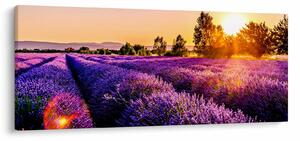 Levandula mező képe (120x50 cm)