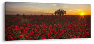 Pipacsos rét képe (120x50 cm)