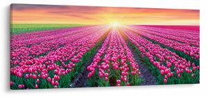 Tulipán mező és a nap képe (120x50 cm)