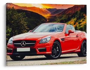 Kép - piros Mercedes (70x50 cm)