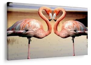 Kép - két flamingó (90x60 cm)