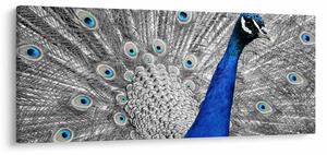 Kék páva képe (120x50 cm)