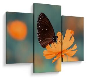 Kép - pillangó narancssárga virágon (90x60 cm)