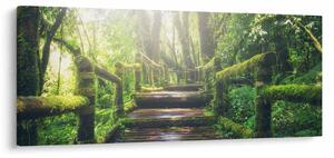 Kép - falépcsők az erdőben (120x50 cm)