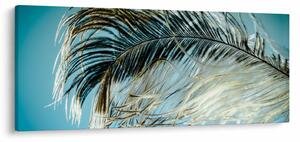 Tollas kép (120x50 cm)