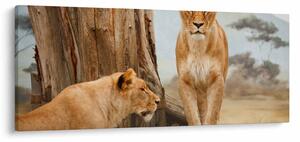 Kép - két oroszlán (120x50 cm)