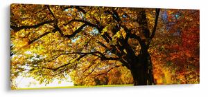 Az őszi kép (120x50 cm)