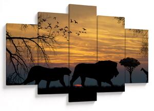 Safari képe (150x105 cm)