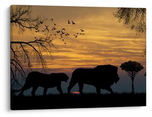 Safari képe (70x50 cm)