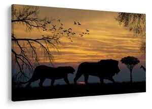 Safari képe (90x60 cm)