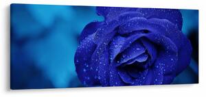 Kék rózsa képe (120x50 cm)