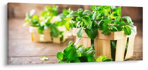 Friss menta képe (120x50 cm)