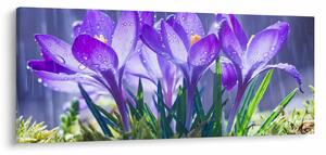 Virágok az esőben képe (120x50 cm)