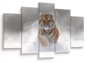 Futó tigris a hóban képe (150x105 cm)