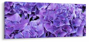 Lila virágok képe (120x50 cm)