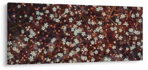 Erdei nefelejcs virág képe (120x50 cm)