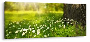Tisztás és a virágok képe (120x50 cm)