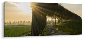 Fasor képe (120x50 cm)