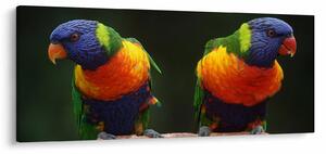 Papagájok képe (120x50 cm)