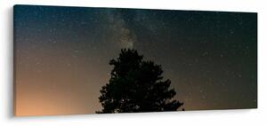 Egy éjszakai égbolt fákkal képe (120x50 cm)